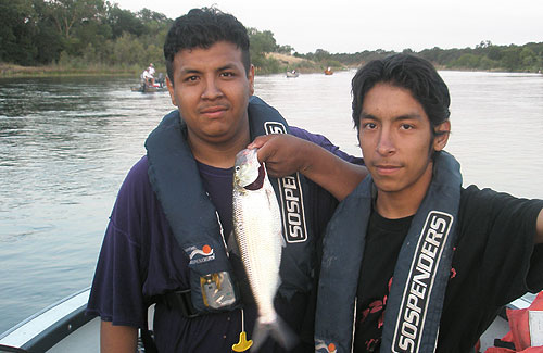 Shad Fishing