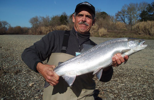 Steelhead Fisherman