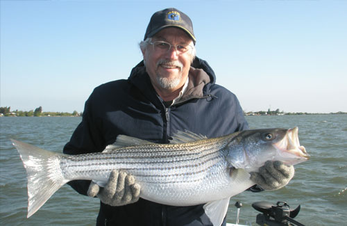 striper-1