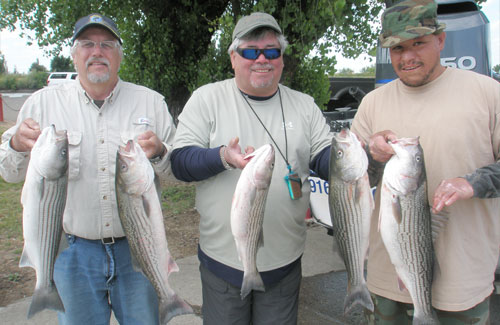 striper-2