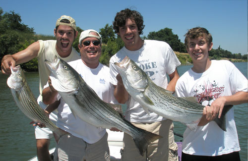 striper-3