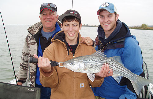 striper-fishing-1 Fishermen Family Catching Stripers on the River