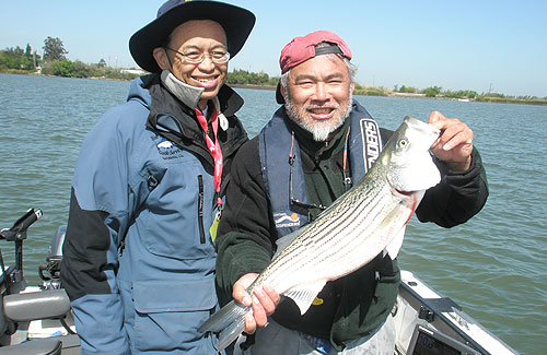 striper-fishing-6