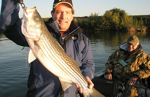 striper-fishing-8