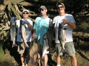 american river king salmon fishing