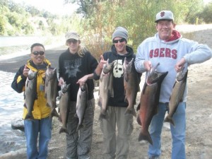 Limits early for king salmon