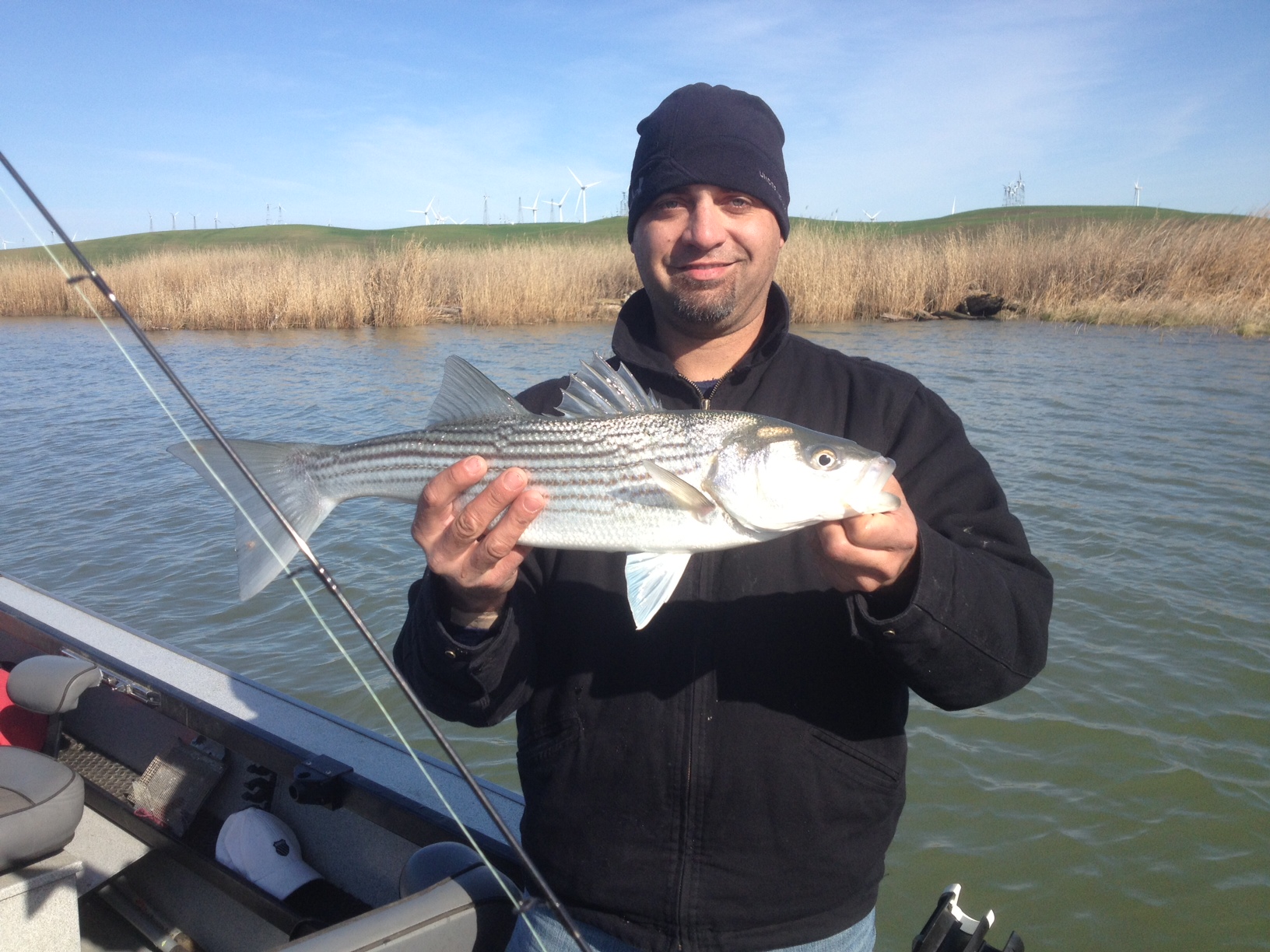Striper Season has Started !! Bob Sparre Fishing Guide Services