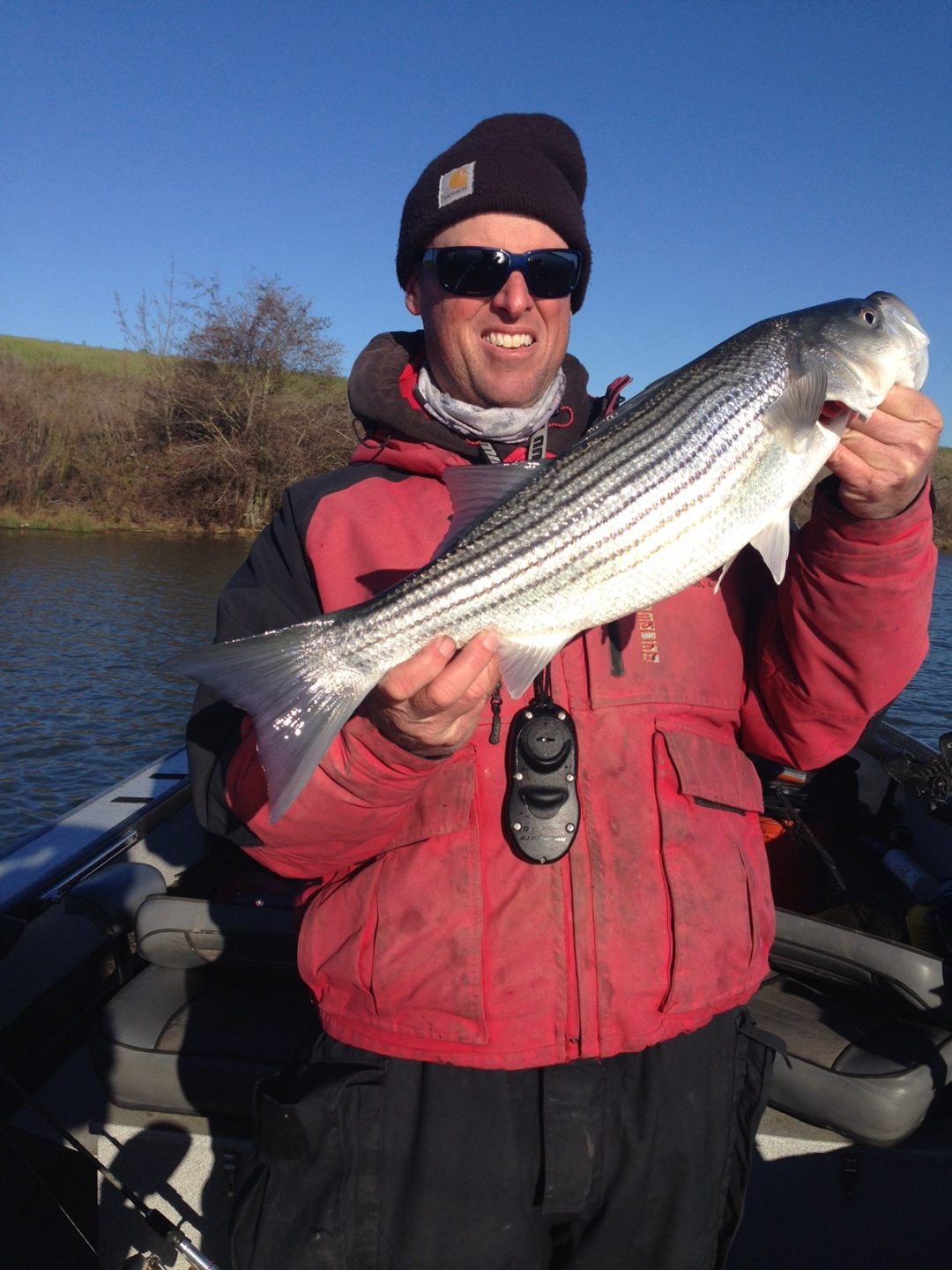 Striper Fishing Update 5-7-2019 - Bob Sparre Fishing Guide Services