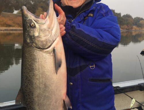Salmon Season Is Here!