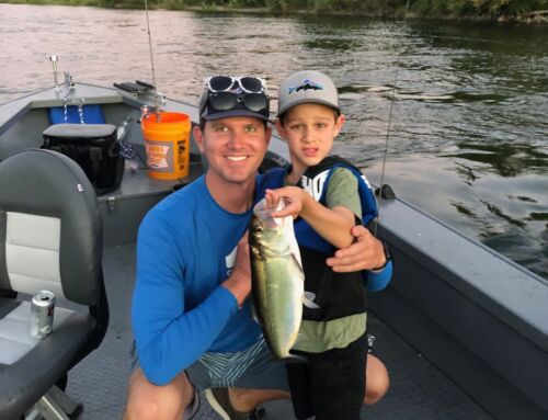 Shad Fishing Still Strong: Openings this Weekend