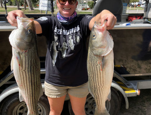 Striper Fishing on the Sacramento River. Don’t miss the bite!
