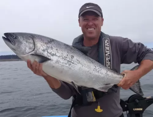 King Salmon Buoy 10 Opens today