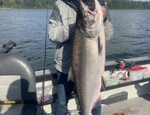 Great King Salmon and Sturgeon Fishing